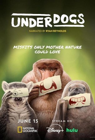 Аутсайдеры